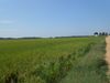720 County Road 259 photo